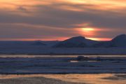 Antarctic waters getting saltier as sea ice wanes