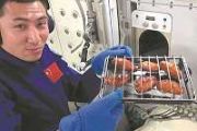 Chinese astronauts use upgraded oven to barbecue chicken wings and steaks aboard space station