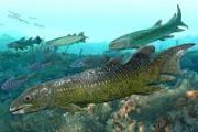 Ancient lungfish fossils refine early vertebrate story