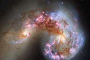 Galaxy mergers light up fastest growing black holes