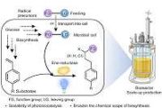 Engineered microbes use light to build new molecules