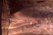 Starship tumbles back to Ocean after reaching a nominal orbit