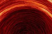 Solar Orbiter reveals rapid polar magnetic field drift on the Sun