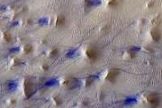 Two decades of Mars images reveal fast moving dust devils and stronger winds