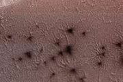 Are there living microbes on Mars? Check the ice
