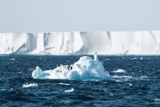 Tracking the climate-driven shift in Antarctic plankton from space