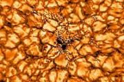 Newly detected rhythmic radio signals shed light on solar atmospheric structures
