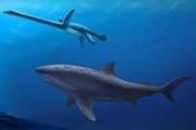 Ancient giant shark fossils reveal early mega-predator dominance in Australian seas