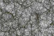 Knotted energy fields may explain the universe's matter dominance