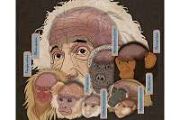 Overlooked cells might explain the human brain's huge storage capacity