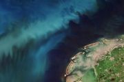 Earth from Space: Netherlands in bloom