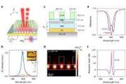 Quantum light switch built from atomically thin mirror