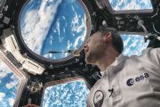 Space pierogi bite