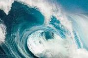 First direct observation of the trapped waves that shook the world