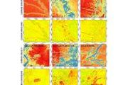 Chloris Geospatial secures funding to expand forest carbon monitoring technology