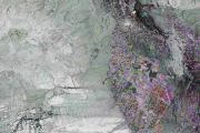 Earth from Space: Circles in the desert