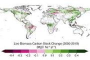 European satellite launches to track global forest biomass from space