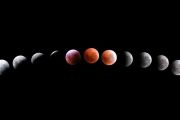 Week in images: 08-12 September 2025
