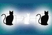 It started with a cat: How 100 years of quantum weirdness powers today's tech
