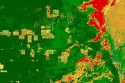 Satellite records expose fire driving Gran Chaco transformation