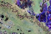 Biomass satellite returns striking first images of forests and more