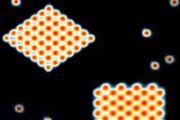 MIT physicists snap the first images of "free-range" atoms