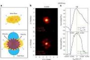 Nova images capture complex stellar blast behavior