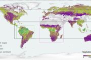 SMOS adds long-term view on carbon stored in forests