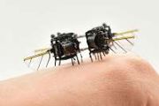 MIT engineers design an aerial microrobot that can fly as fast as a bumblebee