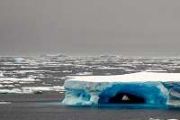 Antarctic ice feedback limits Southern Ocean carbon sink