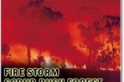 Globalstar expands wildfire safety tools with Technosylva satellite tech