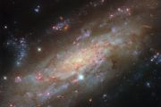 Starry spiral in a familiar neighbourhood