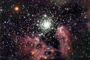 Massive binary star system confirmed in Milky Way cluster