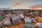 How does life rebound from mass extinctions