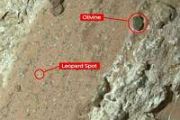 Clues to ancient Martian chemistry revealed by Perseverance rover