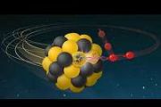 Real-time tracking of atomic nucleus magnetism achieved in quantum experiment