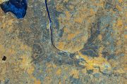 Sentinel-1D delivers first images: from Antarctica to Bremen