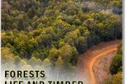 Satellite observations provide insight into post-wildfire forest recovery